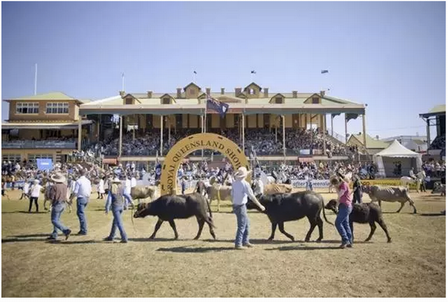 Ekka皇家博覽會是昆士蘭歷史最悠久、也最盛大的傳統農業節慶活動，已有138年歷史