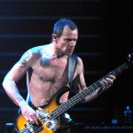FLEA MoDULUS bass