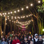 14991924_1376376265707147_1768882318029362857_n