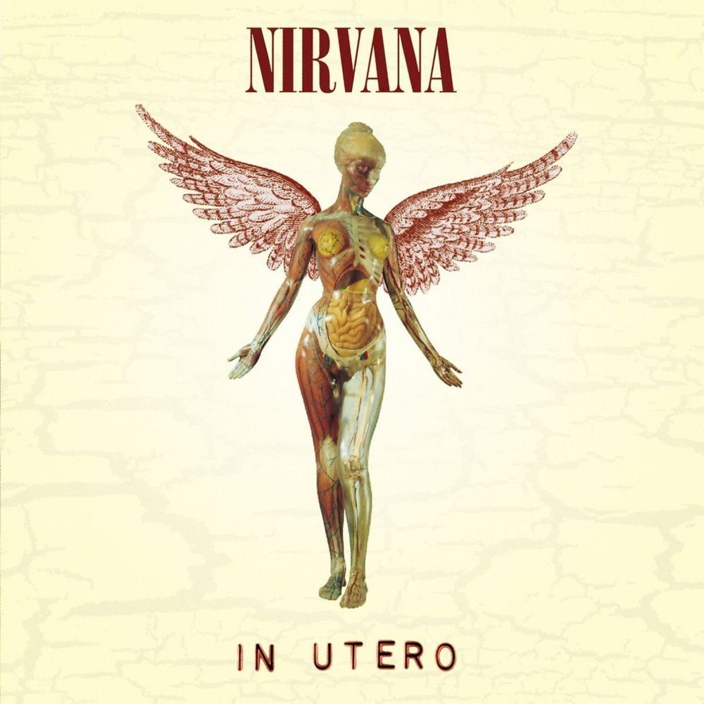 Nirvana In Utero cover
