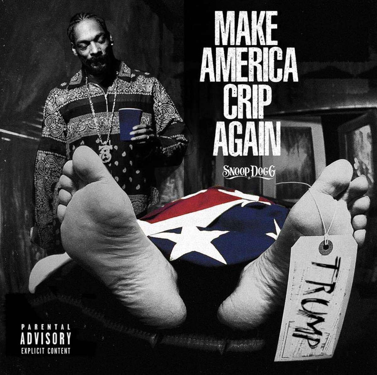 Snoop Dogg- Make America Crip Again