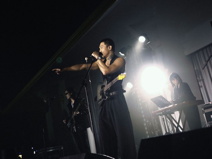 cover-foolandidiotcat