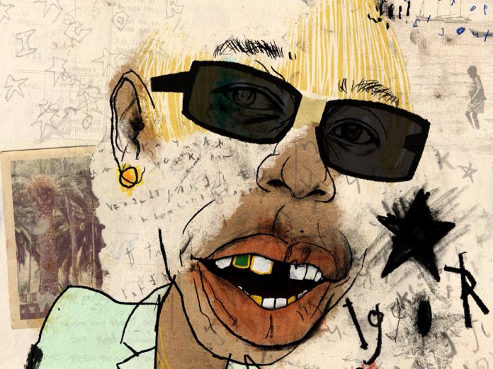 cover-tyler the creator igor vinyl cover